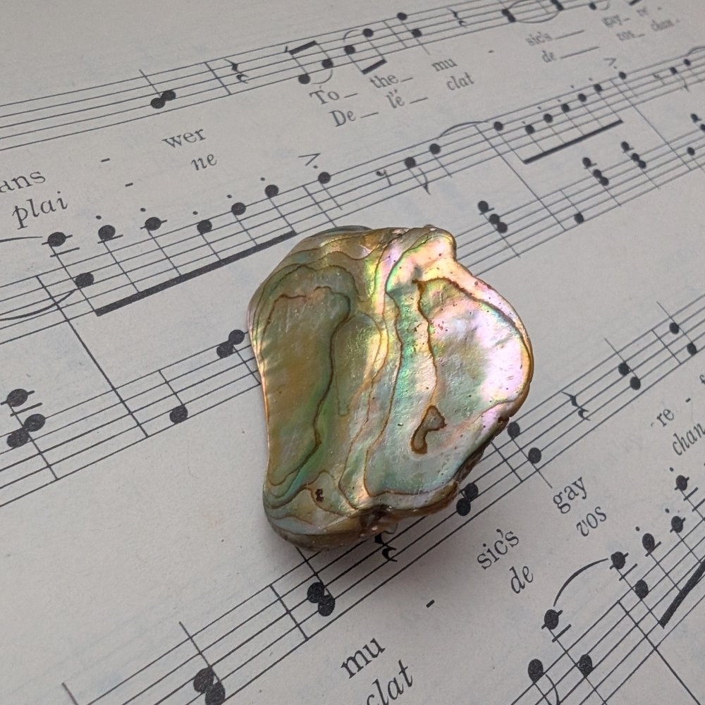 Iridescent Abalone Shell Brooch - Picture 9 of 11